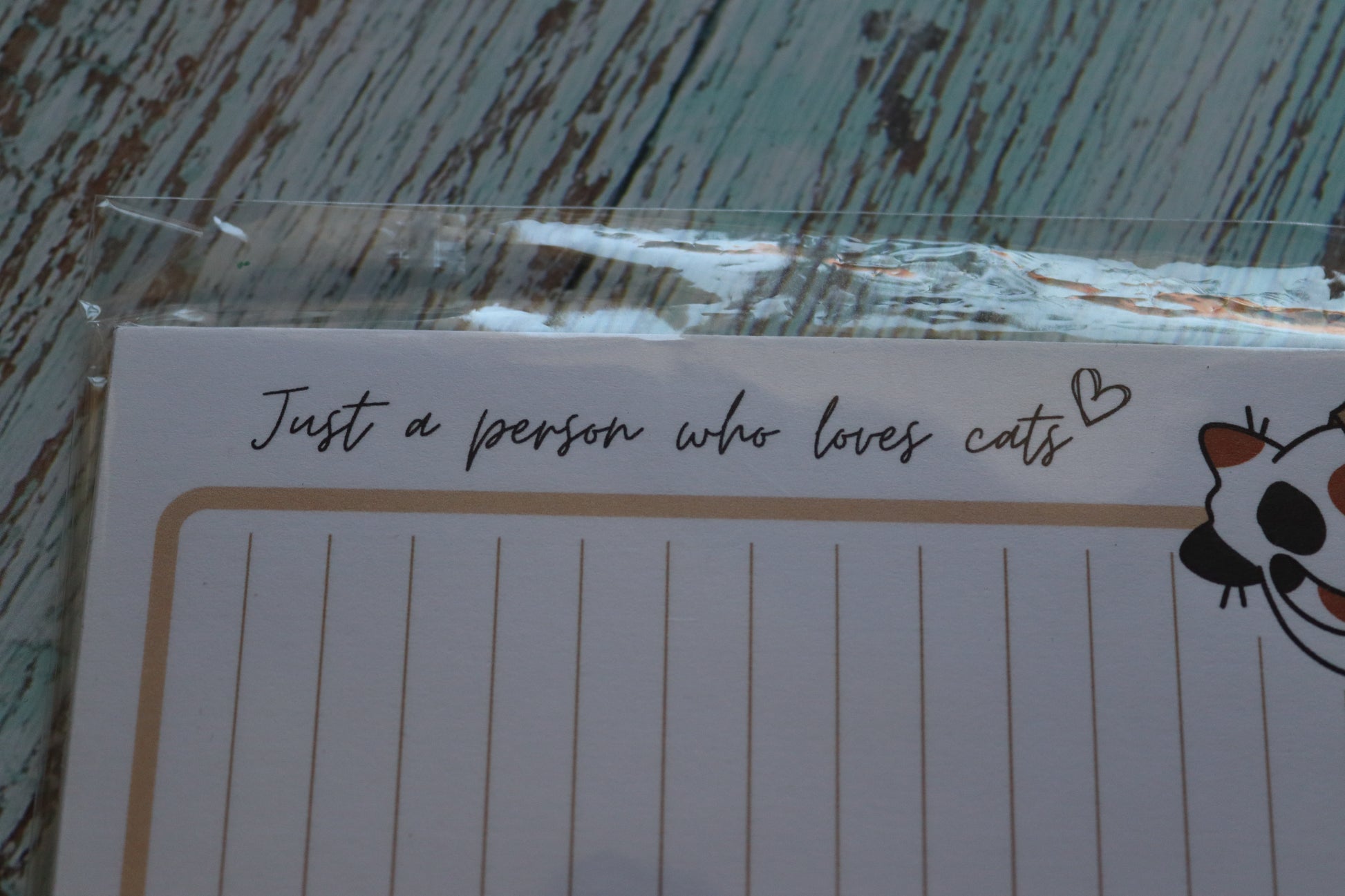 Detailaufnahme Spruch Just a Person who loves cats